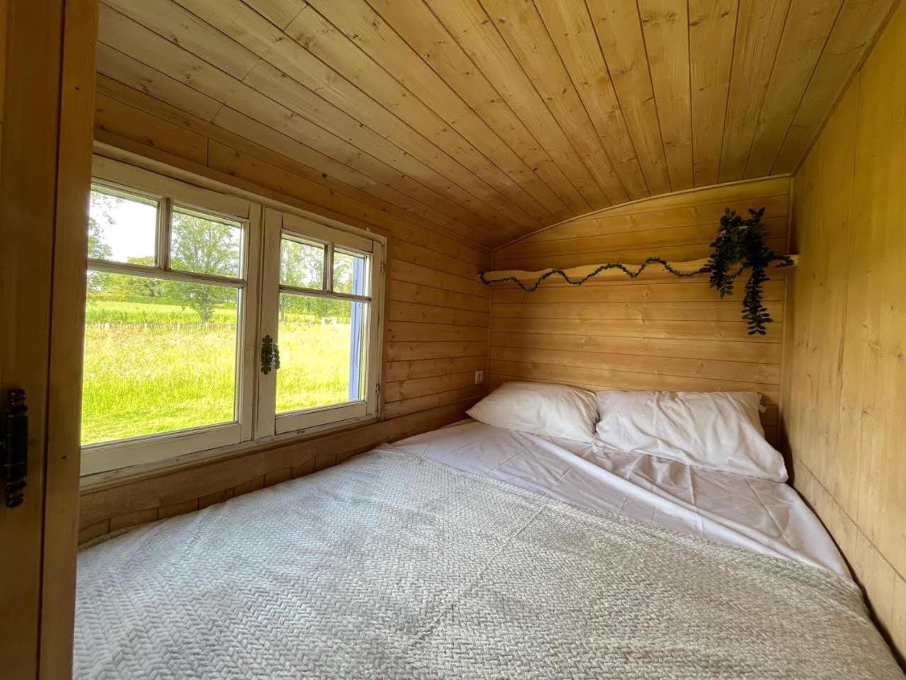 Les Logements Insolites De La Base Nautique Verneuil  Eksteriør billede